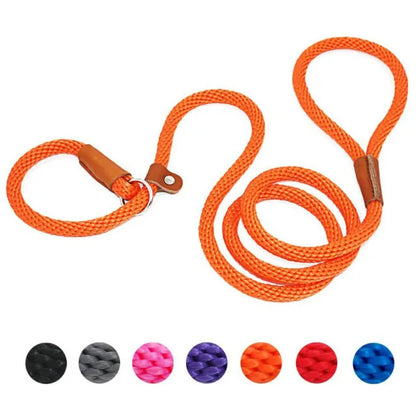 Dog Adjustable Lead Leash