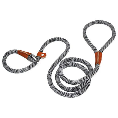 Dog Adjustable Lead Leash