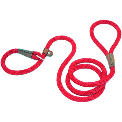 Dog Adjustable Lead Leash