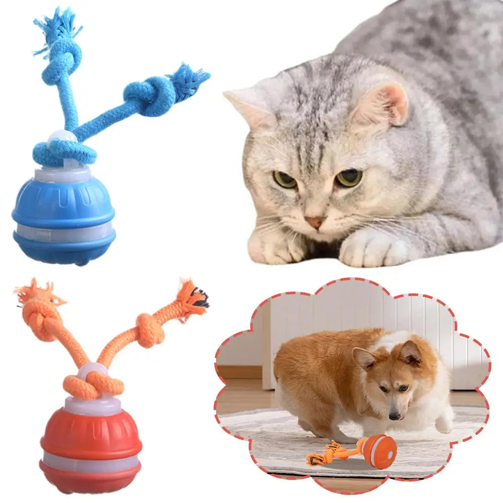 Smart Rolling pet ball