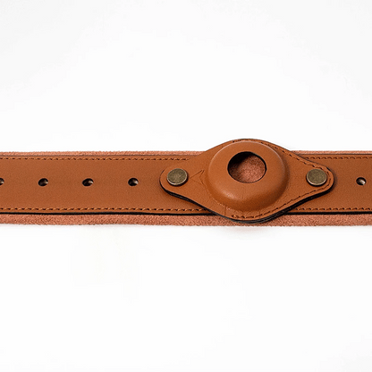 Leather Anti-Lost Dog Collar