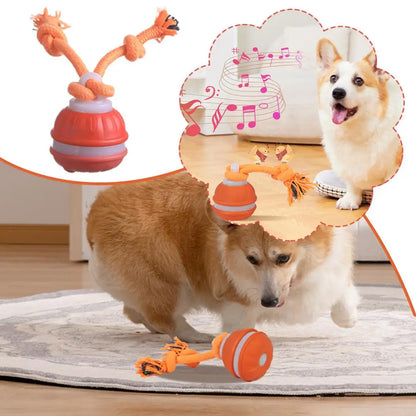 Smart Rolling pet ball