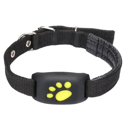 Pet GPS Tracker Collar