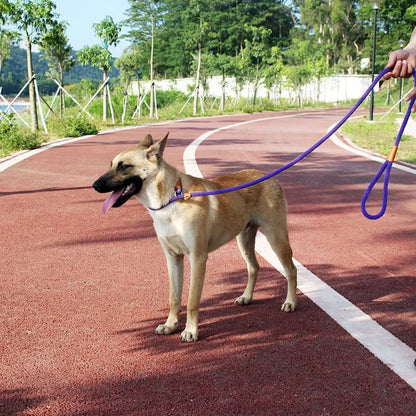 Dog Adjustable Lead Leash