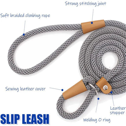 Dog Adjustable Lead Leash