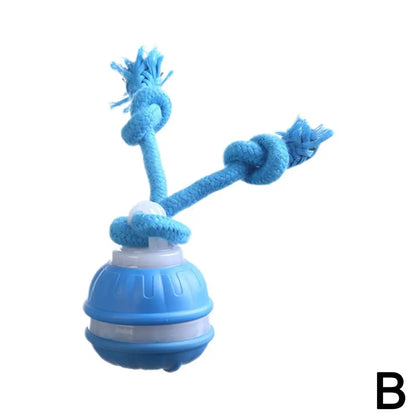 Smart Rolling pet ball