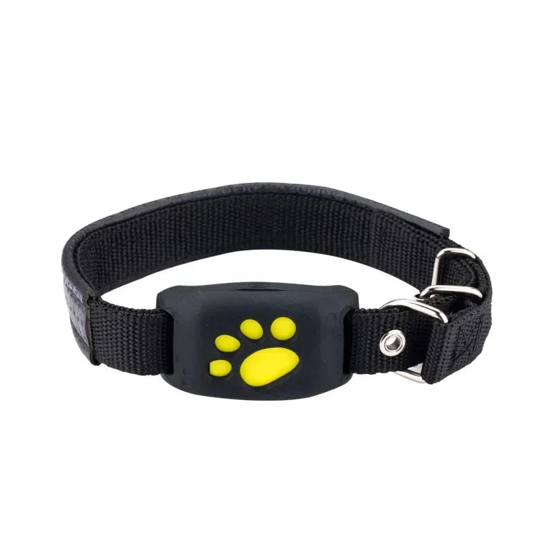 Pet GPS Tracker Collar
