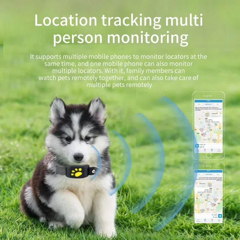 Pet GPS Tracker Collar