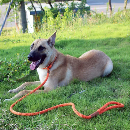 Dog Adjustable Lead Leash